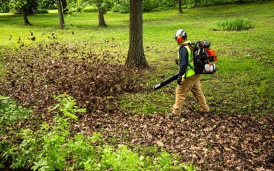 New: Echo PB-9010 Backpack Blower