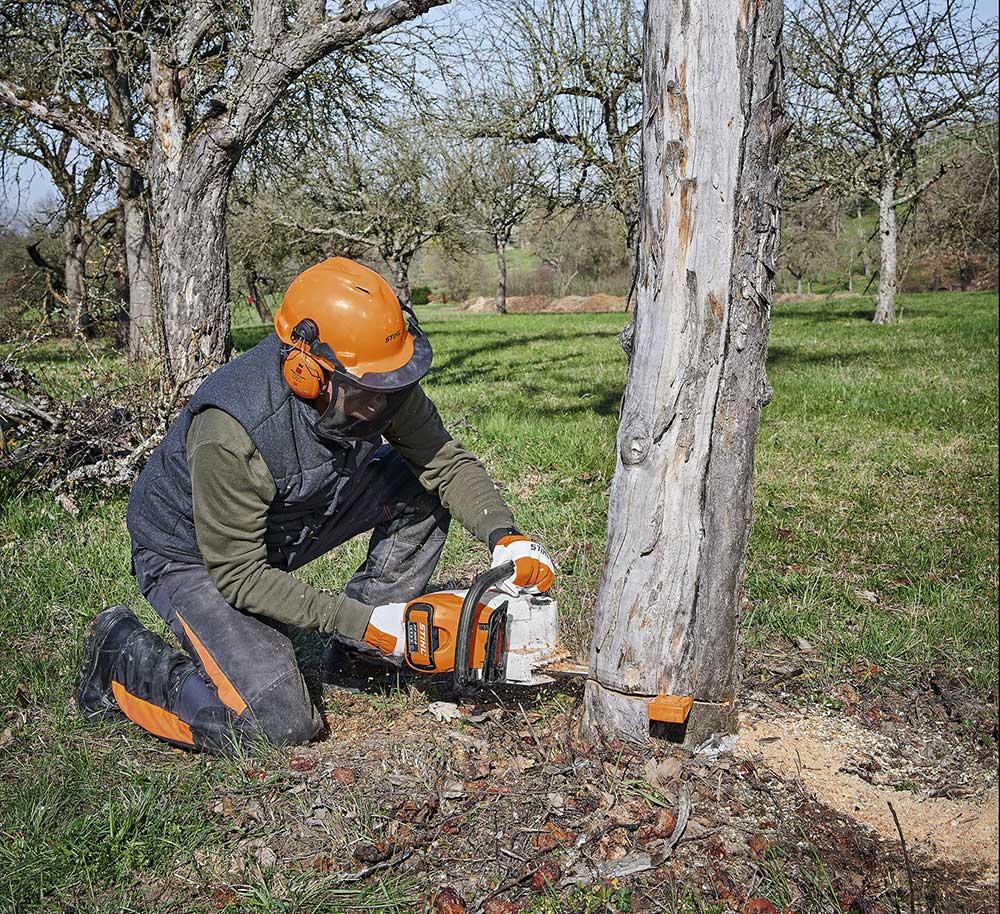 Stihl MSA 220 C-B Saw | Power Equipment Trade