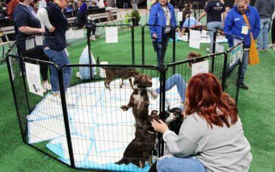 Equip Expo To Host 5th Annual Mutt Madness Pet Adoption