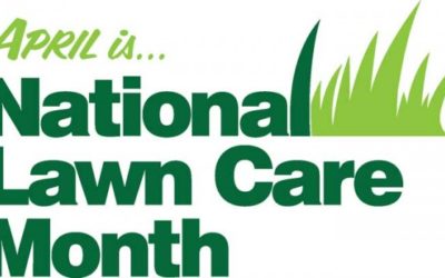 Irrigation Association, OPEI, NALP Partner To Promote National Lawn Care Month